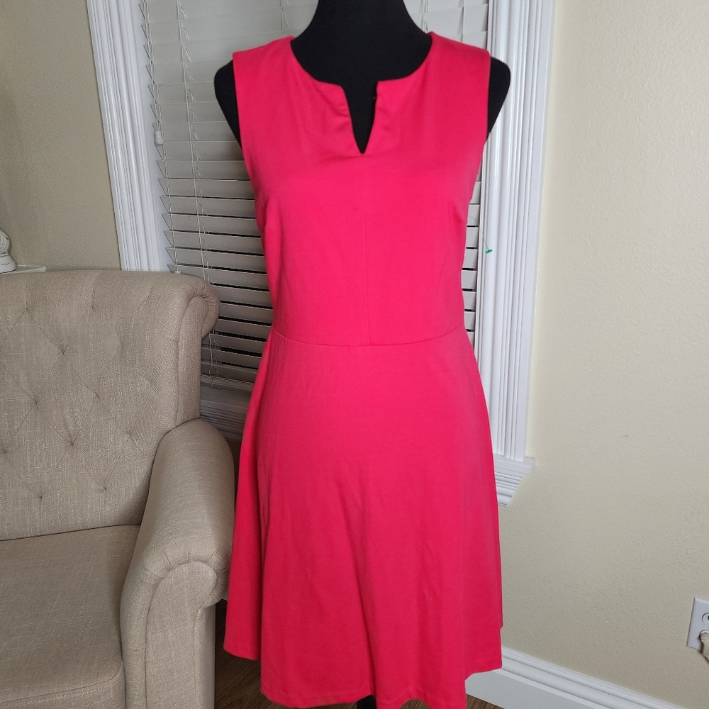 Vibrant pink dress! Gold zipper detail in back, size Small